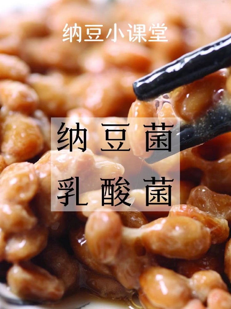 纳豆菌和乳酸菌互相帮助？