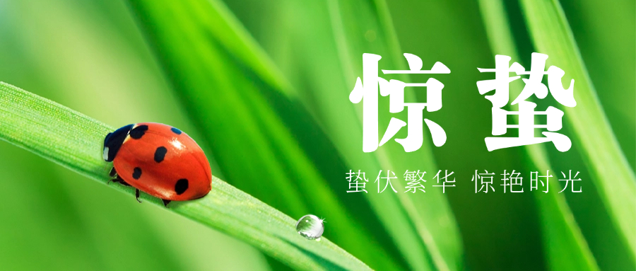 今日，惊蛰