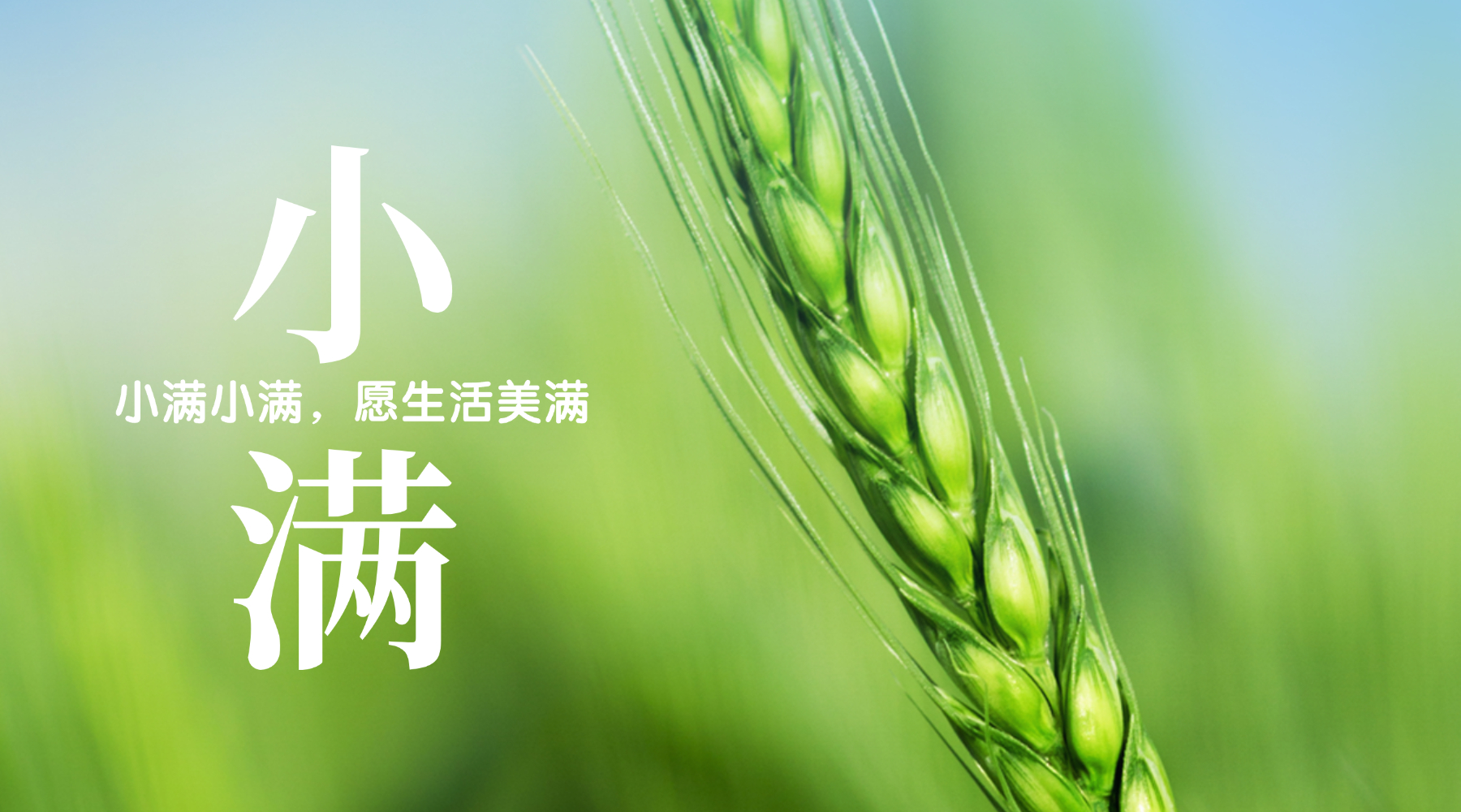 今日小满！愿生活美满