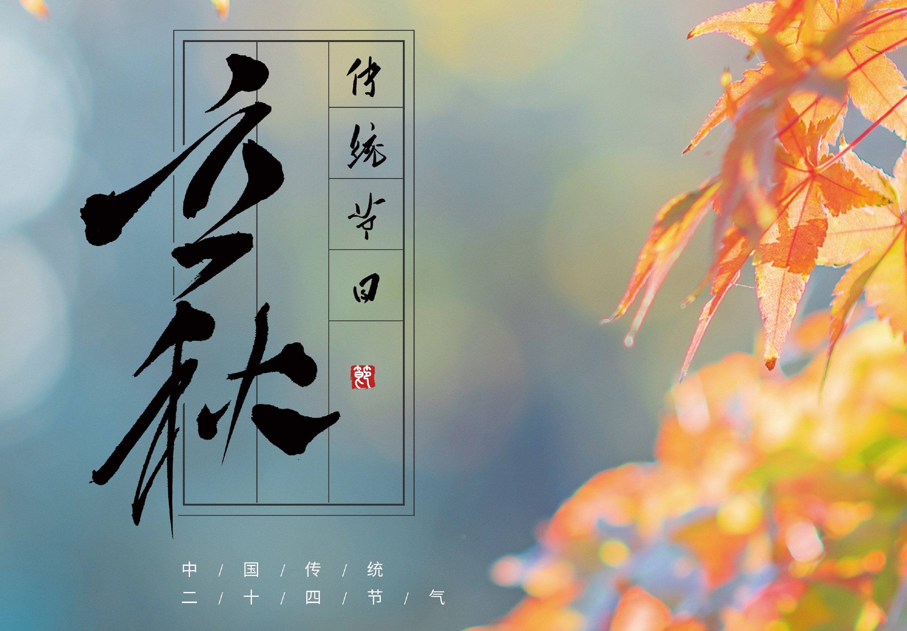 晨起微凉，秋意初上