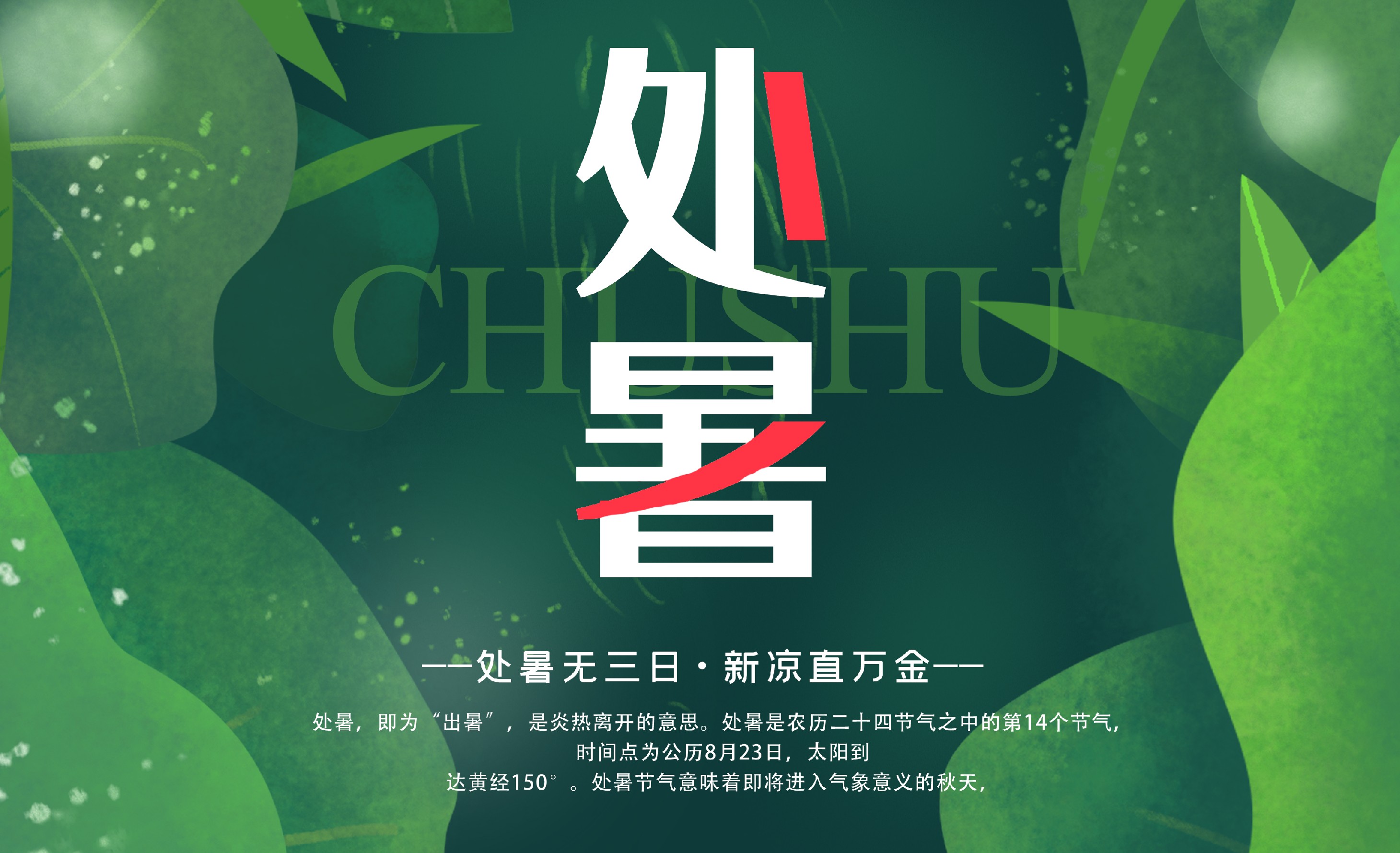 一叶知秋，处暑至。